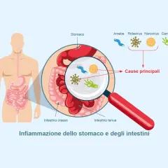 Illustrazione che spiega cos'è la gastroenterite, mostrando i microrganismi (Amebe, Rotavirus, Norovirus, Campylobacter) che causano infiammazione dello stomaco e degli intestini.