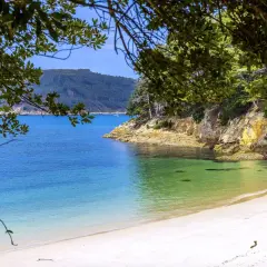 Playa caolín, una cala virgen de arena blanca y aguas turquesas, rodeada de acantilados y vegetación frondosa.