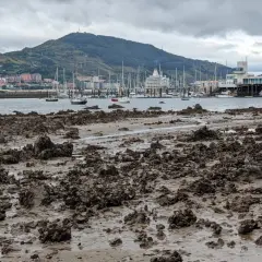 Barro y rocas expuestas en la costa, con barcos y un crucero en el mar, bajo un cielo nublado. Las mareas vivas revelan el lecho marino.