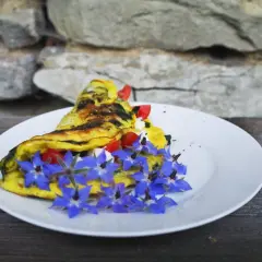 Omlet z pomidorami i serem, ozdobiony niebieskimi kwiatami ogórecznika. Idealny pomysł na śniadanie, inspirowany prostymi przepisami.
