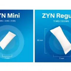 Porównanie rozmiarów i mocy ZYN Mini (15 mm, 1.5-6 mg) i ZYN Regular (22 mm, 11-13.5 mg).