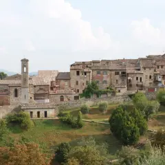 Panoramica di Colle Val d'Elsa, con le sue case in pietra e il campanile che svetta tra gli alberi verdi.