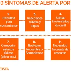 La fatiga hace que aparezcan síntomas como visión borrosa, dificultad para concentrarse, reacciones torpes, salidas involuntarias de carril, falta de interés, desorientación, bostezos, necesidad de rascarse y pesadez en los párpados.