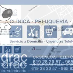 El Drac veterinario: atención profesional y servicios para tu mascota