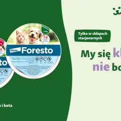 Gdzie kupić obrożę Foresto? Sprawdź najlepsze oferty online