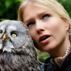 Ein junger Bussard mit gelben Augen blickt neugierig, während eine Frau mit offenem Mund daneben steht.