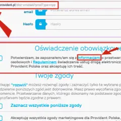 Provident: Czy sprawdza zatrudnienie? Liczy się dochód!