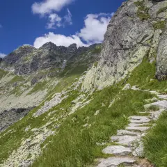 Kamienista ścieżka wije się po zboczu, prowadząc w górę ku skalistym szczytom. W oddali widać zawrat z Doliny Pięciu Stawów.