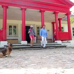 Pies siedzi przed czerwonym budynkiem z kolumnami, obok schodów, po których schodzą ludzie.