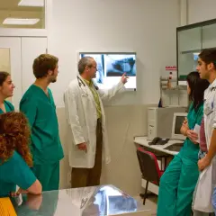 Facultad de Veterinaria Unizar: Programas, Instalaciones y Más Información
