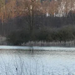 Jezioro Białe Sosnowickie: Nie Okuninka! Raj dla wędkarzy i natury