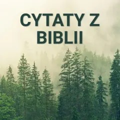 Mglisty las skrywa mądrość. Napis "Cytaty z Biblii" unosi się nad drzewami, zapraszając do refleksji.