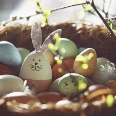 Ein Osternest mit bunten Eiern und einem Hasen-Ei. Ein Symbol für das Christentum und den Neuanfang.