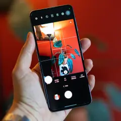 Dłoń trzyma smartfon z włączonym trybem Pro, ukazującym roślinę w doniczce. To jak przenośny Lightroom na telefon, gotowy do edycji.