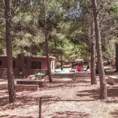 Un día de campo en Enix, con mesas de piedra y gente disfrutando del bosque. ¡Mucho que ver y hacer!