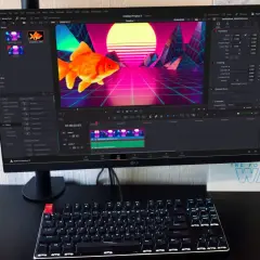 A computer monitor displays DaVinci Resolve, showing a goldfish in a retro neon landscape. This setup hints at a comparison between davinci resolve vs after effects for video editing.