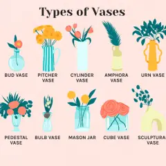 Illustration showcasing various vase shapes, from classic bud and bowl vases to modern sculptural and narrow neck vase styles.