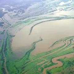 Rozległa delta rzeki, najdłuższa rzeka Azji, z licznymi odnogami i zielonymi wyspami porośniętymi roślinnością.