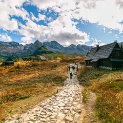 Kamienista ścieżka prowadzi przez polanę Rusinową do drewnianych bacówek. W tle majestatyczne Tatry.