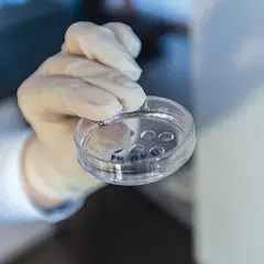 Czy in vitro to grzech? Moralność i kontrowersje w Kościele katolickim