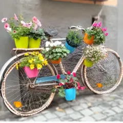 Kwietnik z roweru: Zmień stary grat w ogrodową perełkę DIY!
