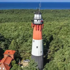 Stylowa latarnia morska góruje nad sosnowym lasem, z widokiem na spokojne morze.