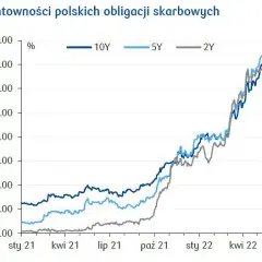 Rentowność 5-letnich obligacji: Ile zarobisz w 2025?