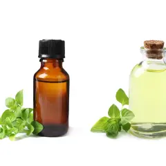 Due boccette di olio essenziale, una ambrata e una trasparente, con rametti di origano. L'olio di origano è noto per le sue proprietà contro i parassiti.