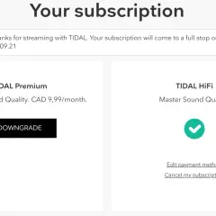 Jak anulować Tidal? Uniknij opłat! Kompletny przewodnik