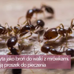 Jak wykorzystać przeterminowany proszek do pieczenia? Sprytne triki!