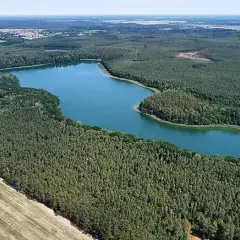 Jezioro Cisie: atrakcje, lokalizacja i sekrety przyrody, które warto poznać