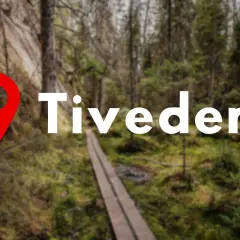 En röd platsmarkör pekar mot texten "Tiveden" över en träspång i en mossig skog. Perfekt för tiveden boende.