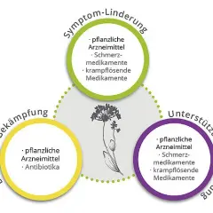 Harnwegsinfektion Medikamente: Effektive Behandlungen und Alternativen