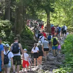 Tłum turystów wędruje kamienistym szlakiem przez las. Widać wyraźne oznaczenie szlaku "Trzy Korony Sromowce Niżne".