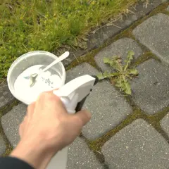 Domowy sposób na chwasty w kostce brukowej: sól w pojemniku i spryskiwacz w dłoni.