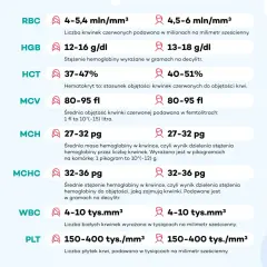 Podstawowe badania krwi: RBC, HGB, HCT, MCV, MCH, MCHC, WBC, PLT z normami.
