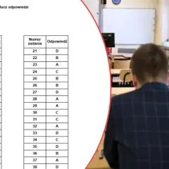 Egzamin zawodowy: Ile procent z teorii i praktyki? Sprawdź!