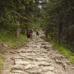 Kamienista ścieżka w lesie, turyści idący w górę. Dolina Jaworzynki wita wędrowców.