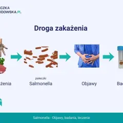 Droga zakażenia salmonellą: surowe mięso, pałeczki, objawy bólu brzucha, badanie kału. Ważne dla zdrowia dzieci.