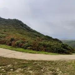 Camino serpenteante en Serra do Cando, rodeado de vegetación verde y marrón bajo un cielo nublado.