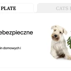 Uroczy piesek obok doniczki z kwiatami. Tekst informuje o roślinach trujących dla psa, które mogą stanowić zagrożenie.