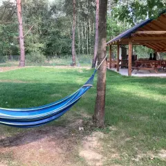 Kolorowy hamak w lesie, idealne miejsce na relaks podczas **camping Roztocze**. W tle drewniana wiata z ławami i stołami.