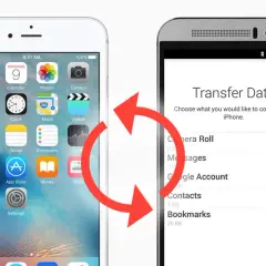 Jak przenieść dane z Androida na iPhone? Sprawdź, to proste!