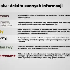 Czarny, smolisty stolec może być efektem przyjmowania żelaza, ale też sygnałem krwawienia z przewodu pokarmowego.
