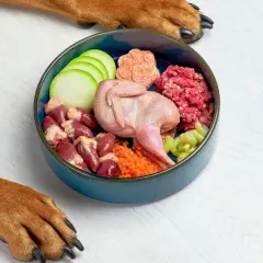 Un nutricionista de perros crea recetas con ingredientes frescos: codorniz, corazones, carne picada, calabacín, zanahoria y apio.