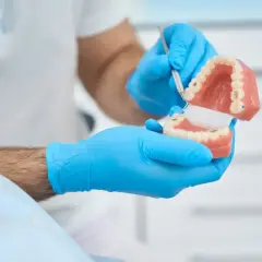Dentysta w niebieskich rękawiczkach pokazuje model szczęki, wyjaśniając działanie protezy teleskopowej.