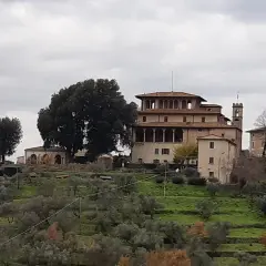 Villa medicea e uliveti, un'idea di cosa vedere a Lamporecchio.
