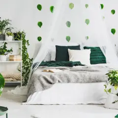 Ein Schlafzimmer im Stil "urban jungle ideen" mit vielen Pflanzen, einem Himmelbett und grünen Akzenten.