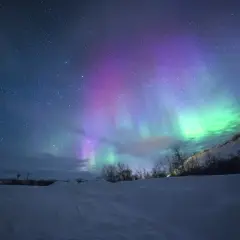 Nocne niebo nad ośnieżonym krajobrazem rozświetla zorza polarna w odcieniach zieleni i fioletu, niczym złoty krąg na płótnie gwiazd.