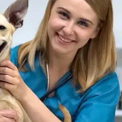 Czy weterynarz to doktor? Prawda o tytułach i kwalifikacjach